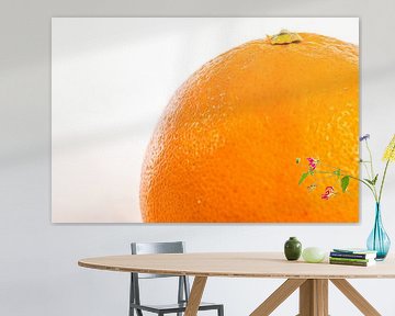Close-up of an orange by Hein Fleuren