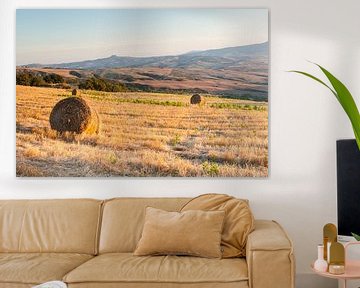 Balles de foin sur les collines de Toscane sur Damien Franscoise