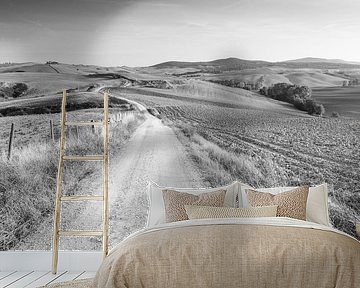 Tuscan hills in black and white by Damien Franscoise