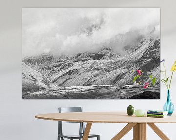 Silvretta hochalpenstrasse in Oostenrijk in zwart-wit van Damien Franscoise