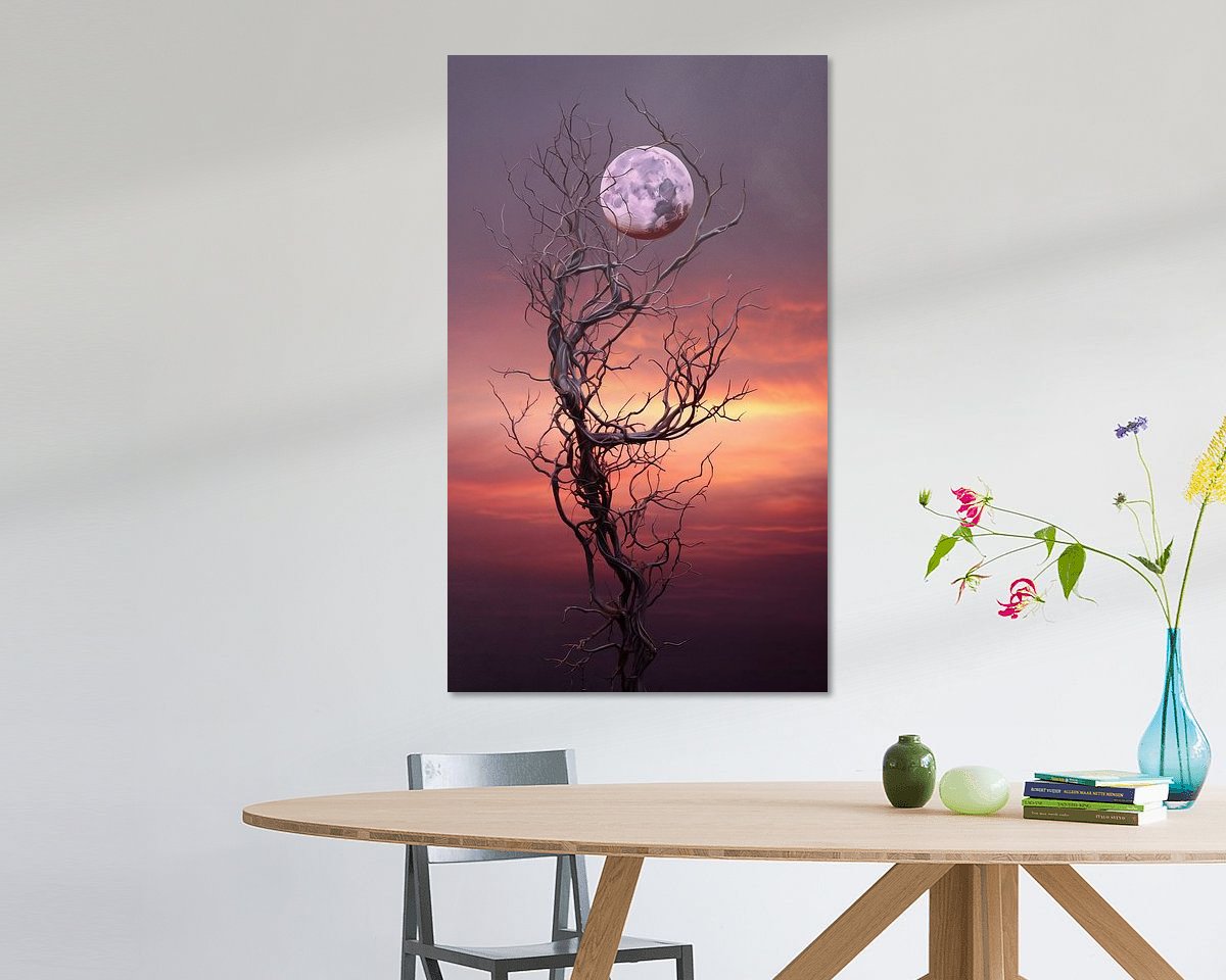 Raumvorschau