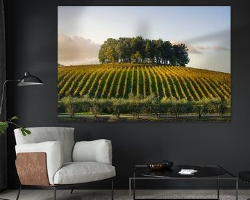 Groep bomen op een heuvel boven een wijngaard. Chianti, Toscane van Stefano Orazzini