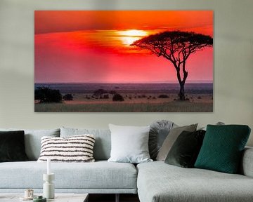 Afrika met zonsondergang van Mustafa Kurnaz