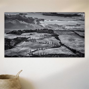 Zypressen von La Foce - Toskana - 2 - Infrarot-Schwarz-Weiß-Fotografie von Teun Ruijters