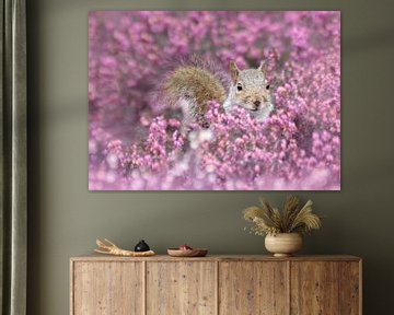 Squirrel in pink heather by Christa Thieme-Krus