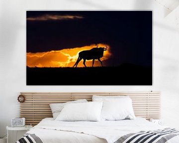 Wildebeest bij zonsondergang