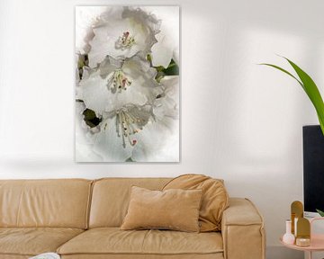 Witte rododendron bloessem van Bob de Bruin