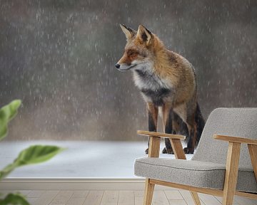 Vos in de sneeuw van Pim Leijen