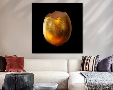 Golden egg on black background by Dennis Lieffering