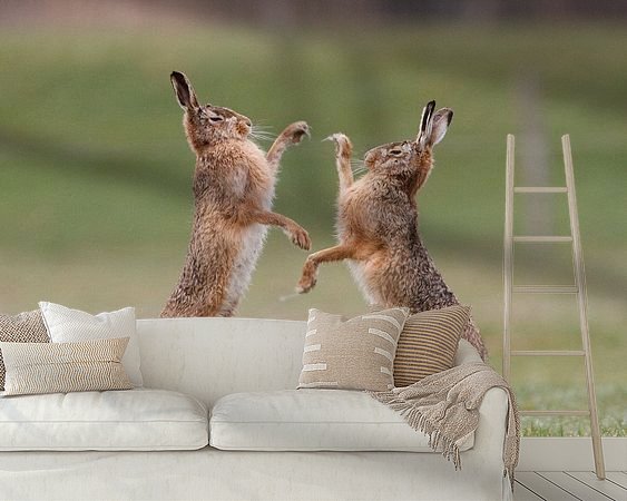 Voorbeeld van het werk in een kamer