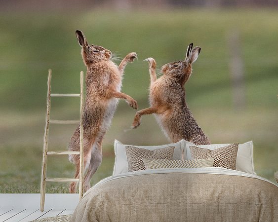 Voorbeeld van het werk in een kamer