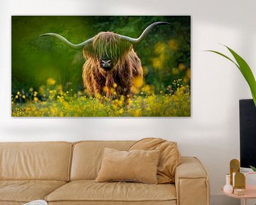 Scottish highlander by Gerrit Bikker