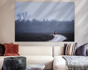 Eenzame schotse hooglander in de mist | landschapsfotografie | fotobehang van Laura Dijkslag