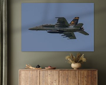 Boeing F/A-18F Super Hornet van VFA-32 Swordsmen. van Jaap van den Berg