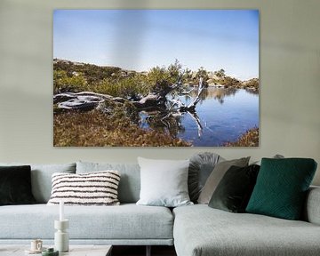 Mount Field: Jewel of Tasmania's Wilderness by Ken Tempelers