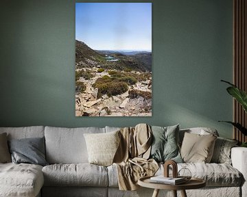 Mount Field: Jewel of Tasmania's Wilderness by Ken Tempelers