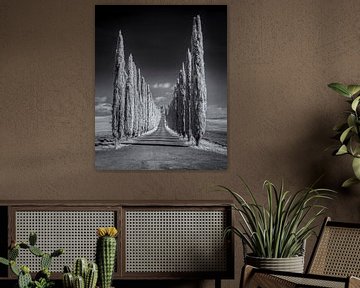 Poggio Covili - Tuscany - 2 - infrared black and white by Teun Ruijters