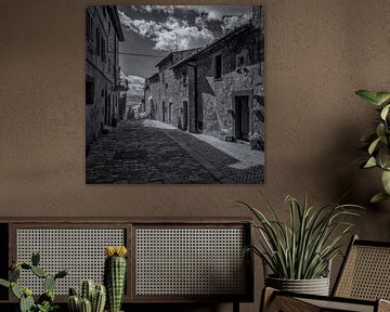 Pienza - 3 - Toscane - infrarood zwartwit van Teun Ruijters