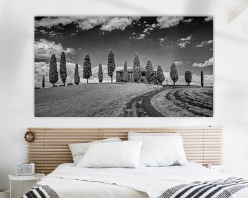 Agriturismo I Cipressini - Tuscany - infrared black and white