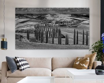 Podere Baccoleno - Toscane - infrarouge noir et blanc sur Teun Ruijters