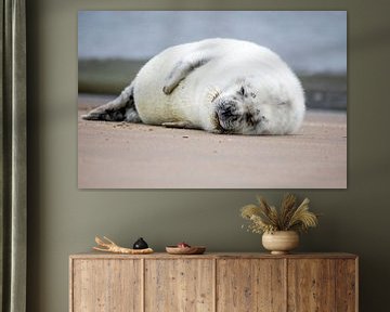 Pup van een grijze zeehond slaapt op het strand. van Bart Vastenhouw