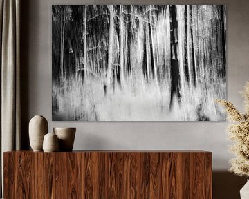 Forêt magique d'hiver en noir et blanc sur Nicc Koch