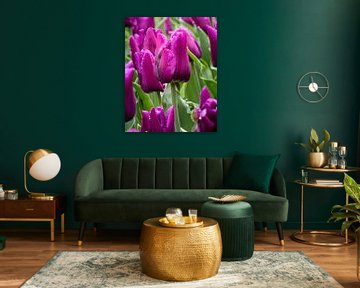 Champ de tulipes en violet sur Jens Sessler