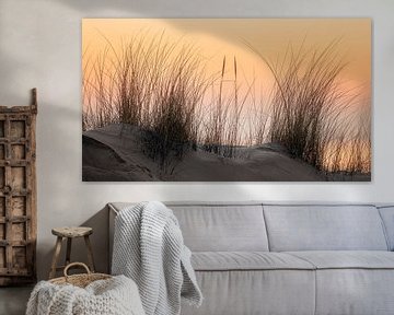Dune grass in front of orange evening sky in Zeeland by Michel Seelen