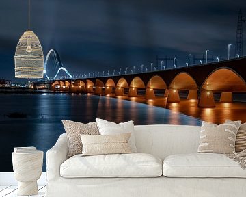 de Oversteek van Sjon de Mol