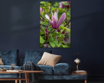Blüte Magnolia von Margot van den Berg
