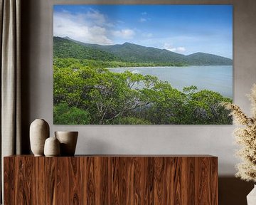 Daintree Rainforest: An Ancient Wonder of Nature