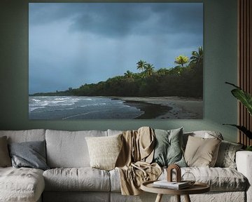 Tropische Oasen: Die Strände des Daintree-Regenwaldes von Ken Tempelers