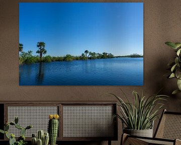 USA, Florida, Reflecting landscape and trees in everglades national park by adventure-photos