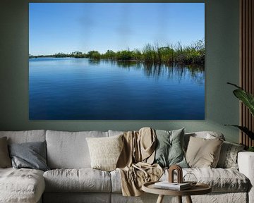 USA, Florida, Spiegelndes Wasser eines Flusses im Sumpfgebiet der Everglades von adventure-photos