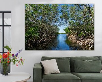 Verenigde Staten, Florida, Weg door mangrovebos van everglades van adventure-photos