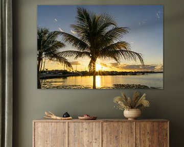 Verenigde Staten, Florida, Fantastische zonsondergang achter palmboom die reflecteert in oceaan van adventure-photos