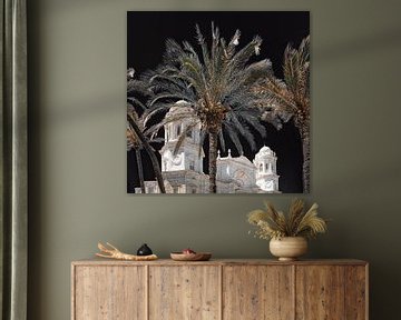 The Cathedral of the southern Spanish city of Cadiz seen through palm trees by Harrie Muis
