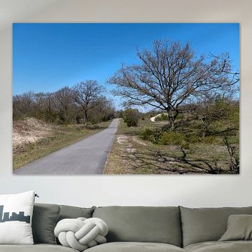 Voornes-Düne von Richard Wareham