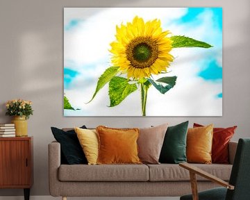 sunflower van Reinier de Rooie