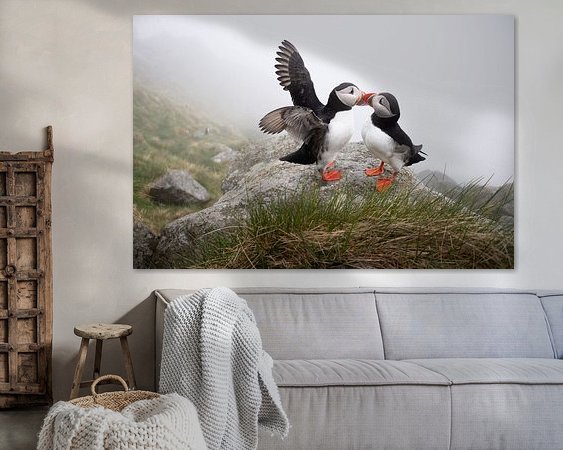 Aperçu de la chambre