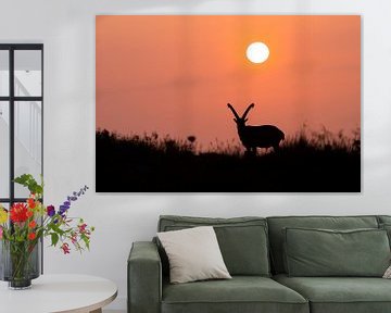 Silhouet van een steenbok tijdens zonsondergang  van Lars Korzelius