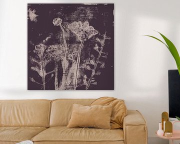 Abstract botanical art. Flowers and plants in warm brown and white by Dina Dankers