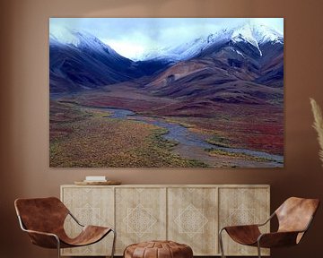Alaska, Denali-Nationalpark von Paul van Gaalen, natuurfotograaf