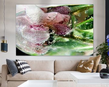 Peony Bubbles van Jessica van der Mast