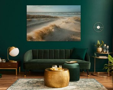 Dunes, beach and sea by Dirk van Egmond