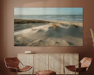 Dunes, plage et mer sur la côte néerlandaise