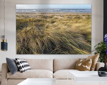 Dunes, plage et mer sur la côte néerlandaise