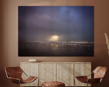 Dünen, Strand und Meer an der niederländischen Küste von Dirk van Egmond