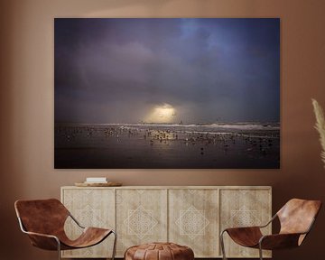 Dunes, plage et mer sur la côte néerlandaise sur Dirk van Egmond