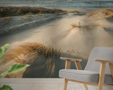 Dunes, beach and sea on the Dutch coast by Dirk van Egmond